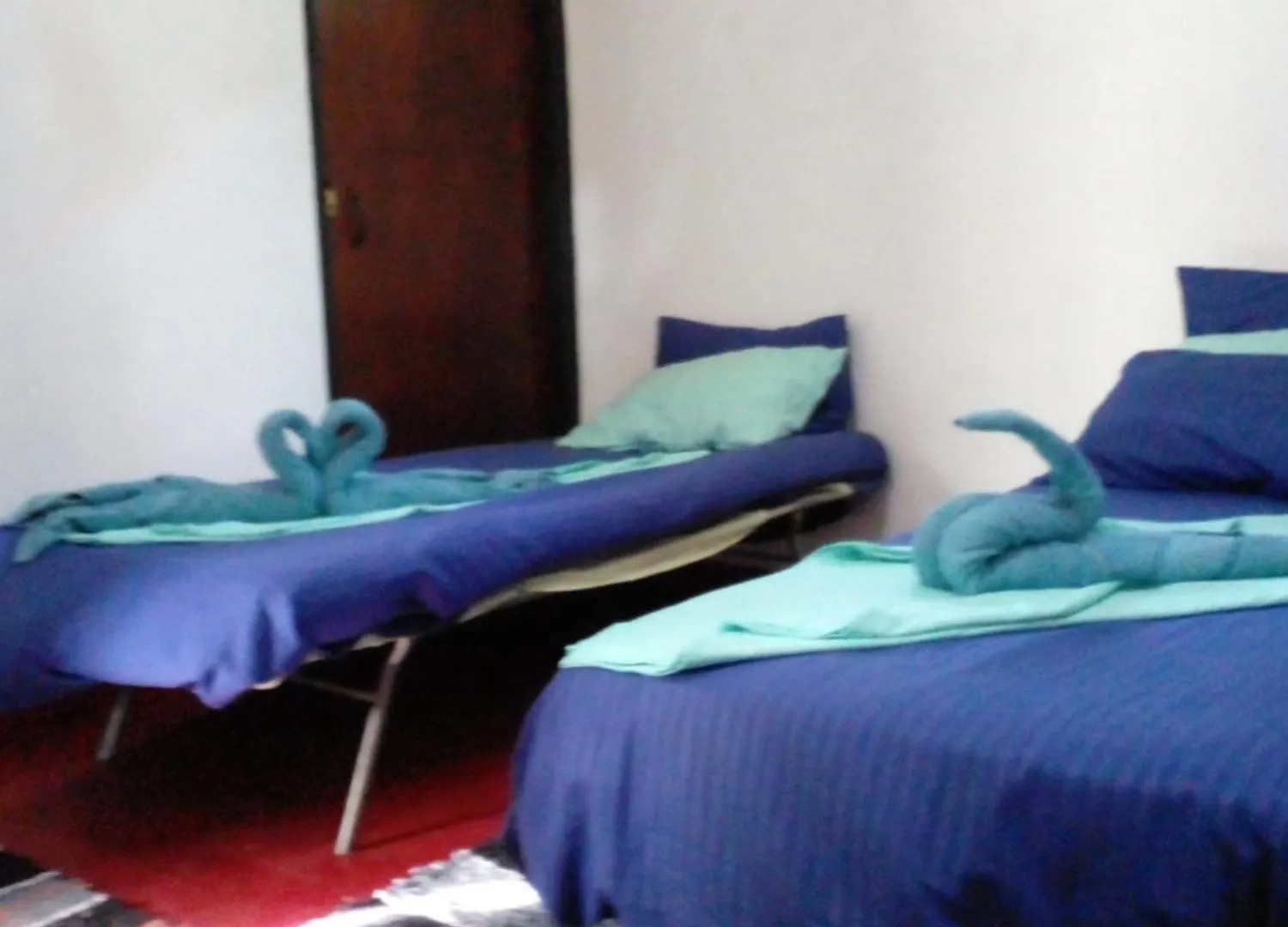 Bed & Breakfast Bernie Guest House Negombo Sri Lanka